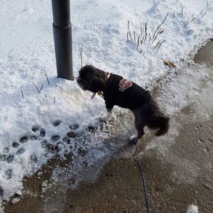 Meet your Posher, Colleen